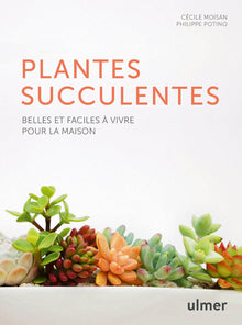 Les plantes succulentes - Belles et faciles à vivre pour la maison