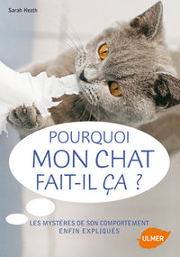 Pourquoi mon chat fait-il ça? Les mystères de son