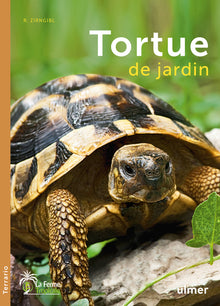 La tortue de jardin
