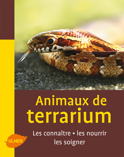 Animaux de terrarium