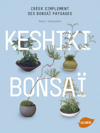 Keshiki Bonsaï. Créer simplement des bonsaï paysages