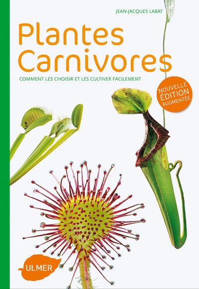 Plantes carnivores : Comment les choisir et les cultiver facilement