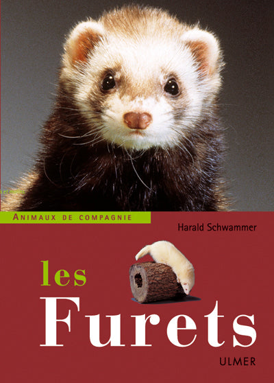 Les furets