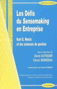 Les défis du sensemaking en entreprise