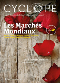 Cyclope : Rapport annuel