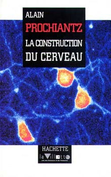 La construction du cerveau