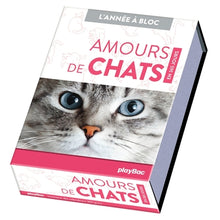 Calendrier Amours de chats en 365 jours - L'Année à bloc