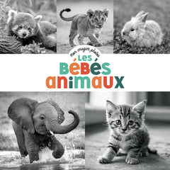 Mon imagier photos - Les bébés animaux