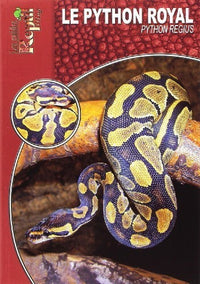 Python Regius