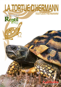 La tortue d'Hermann orientale - Testudo Hermanni Boettgeri