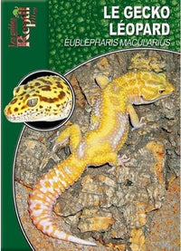 Le Gecko Léopard