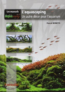 L'aquascaping - un autre décor pour l'aquarium