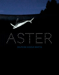 Aster