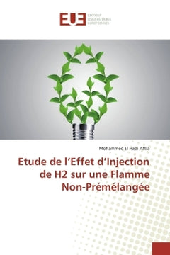 Etude de l'Effet d'Injection de H2 sur une Flamme Non-Prémélangée