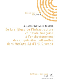 Critique de l'infrastructure coloniale française à l'enchevêtrement des singularités culturelles