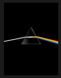 Pink Floyd their mortal remains Le livre officiel