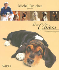 Les chiens