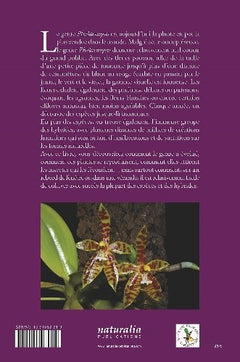 Phalaenopsis - Une orchidée méconnue