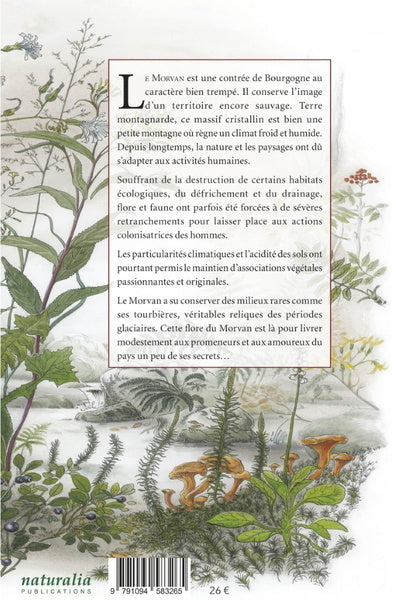 Flore du Morvan
