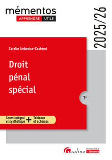 Droit pénal spécial
