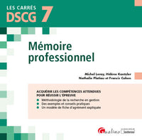Mémoire professionnel