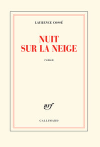 Nuit sur la neige