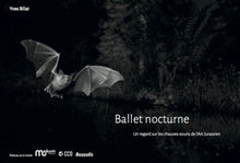 Ballet nocturne