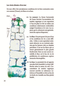 Des murs vivants