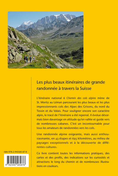 Chemin des cols alpins