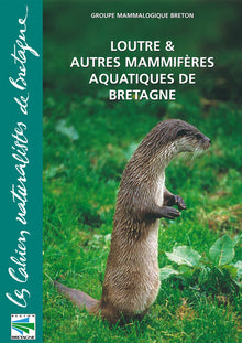 Loutre et autres mammifères aquatiques de Bretagne