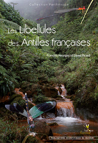 Les libellules des Antilles françaises