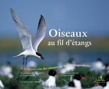 Oiseaux au fil d'étangs
