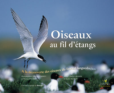 Oiseaux au fil d'étangs