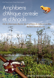 Amphibiens d'Afrique centrale et d'Angola