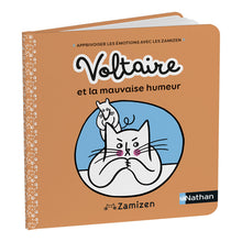 Voltaire et la mauvaise humeur