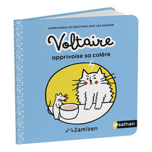 Voltaire apprivoise sa colère
