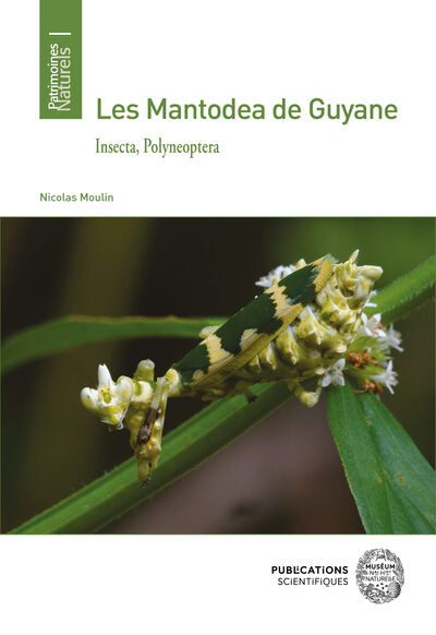 Les Mantodea de Guyane