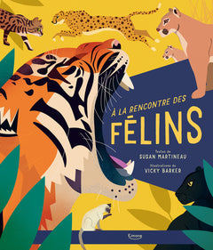 À la rencontre des félins