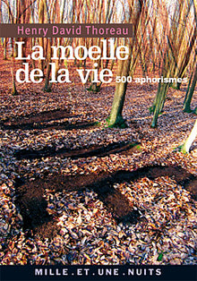La moelle de la vie