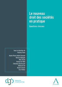 Le nouveau droit des sociétés en pratique