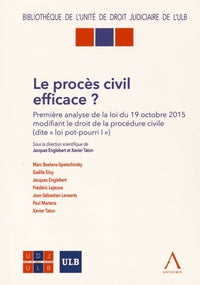 Le procès civil efficace ?