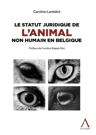 Le statut juridique de l'animal non humain en Belgique