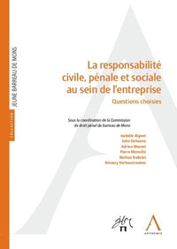 La responsabilité civile, pénale et sociale au sein de l'entreprise