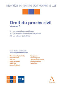 Droit du procès civil - Volume 3