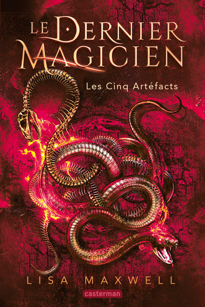 Le dernier magicien