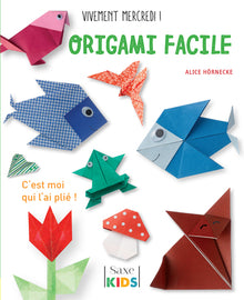 Origami facile