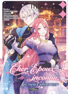 Cher époux inconnu, je veux divorcer - Tome 3