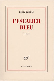 L'escalier bleu