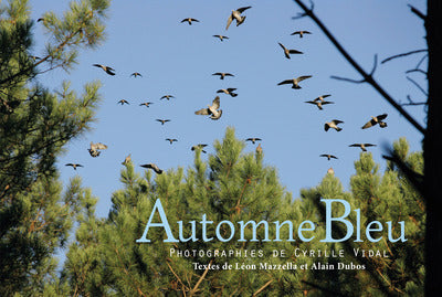 Automne bleu : Chasse à la palombe