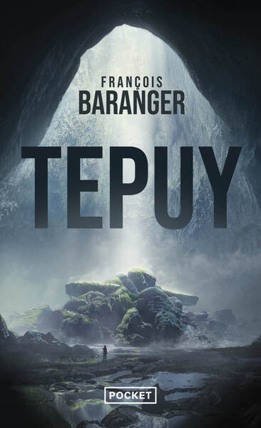 Tepuy